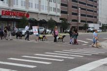 A group of people cross an intersection in single file during 2019 Blind Americans Equality Day celebration. Most are walking with white canes or guide dogs